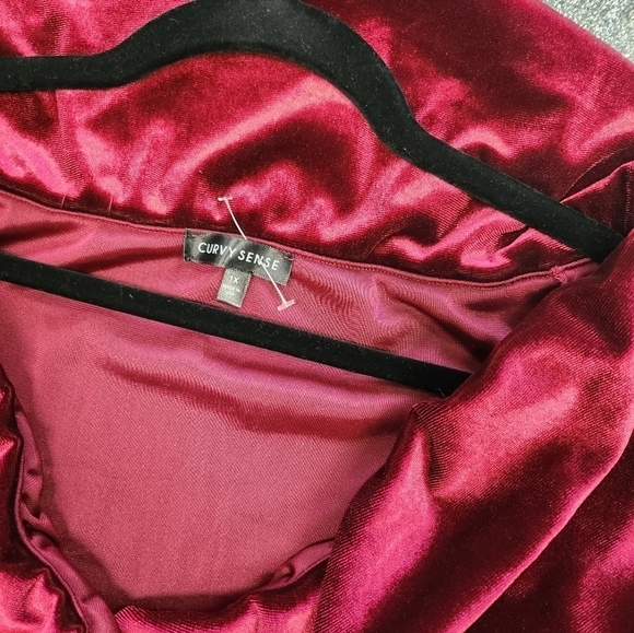 Curvy Sense Olivia velvet dress - Picture 8 of 10